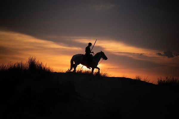 Jaynes Gallery 아티스트의 Europe-France-Provence-Camargue horse with rider at sunrise작품입니다.